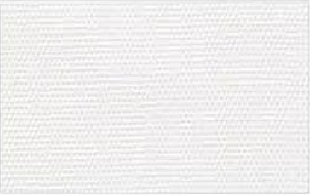 White-5404