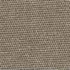 Brown-5481