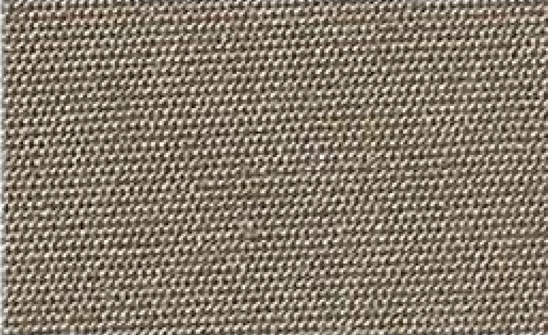 Brown-5481