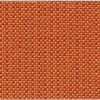 Orange color-48026